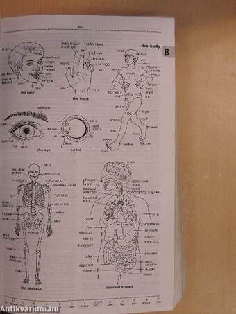 Oxford Advanced Learner's Dictionary of Current English