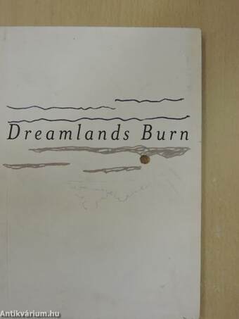 Dreamlands Burn - Nordic Art Show 2006