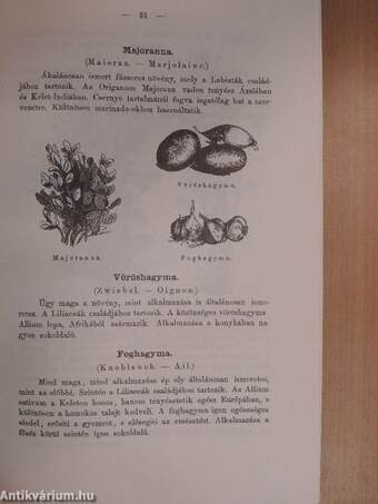 Magyar-Franczia szakácskönyv