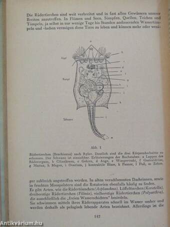 Aquarien und Terrarien Jahrbuch 1955