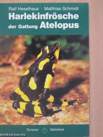 Harlekinfrösche der Gattung Atelopus