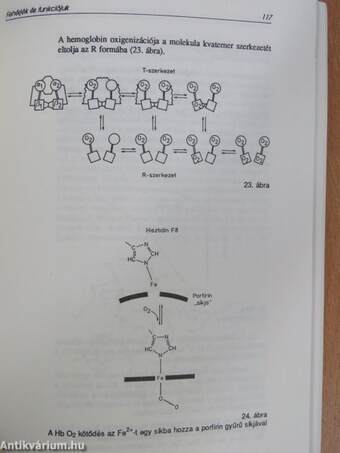 Biokémia II.