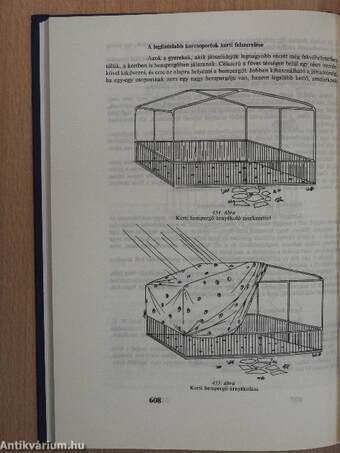 Az egészséges csecsemő és gyermek fejlődése és gondozása 3. (töredék)