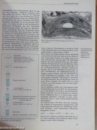 Der Organismus