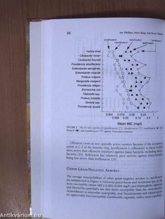 The quinolones