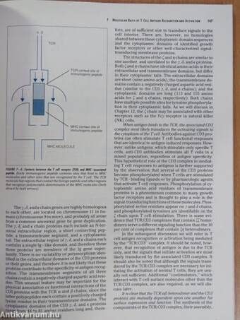 Cellular and molecular immunology