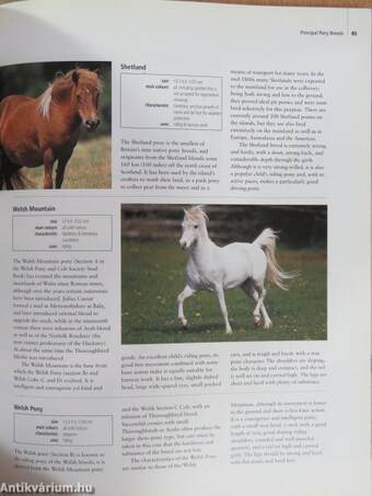 Encyclopedia of the Horse