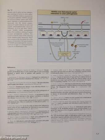 Helicobacter pylori