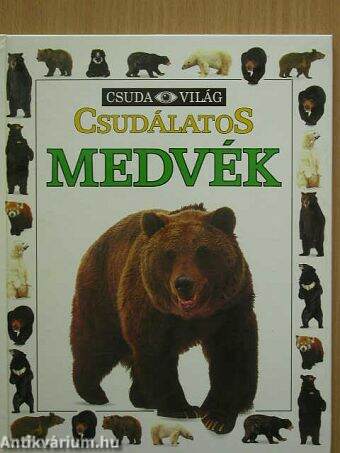 Csudálatos medvék