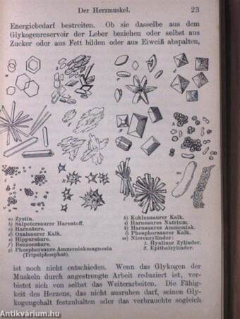 Physiologische Chemie II.