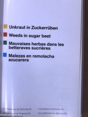 Unkraut in Zuckerrüben/Weeds in sugar beet/Mauvaises herbes dans les betteraves sucriéres/Malezas en remolacha azucarera