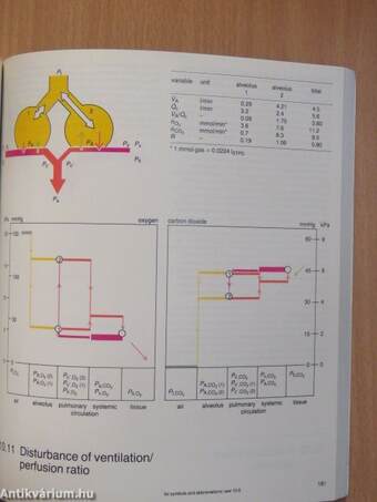 Contours of breathing 2.