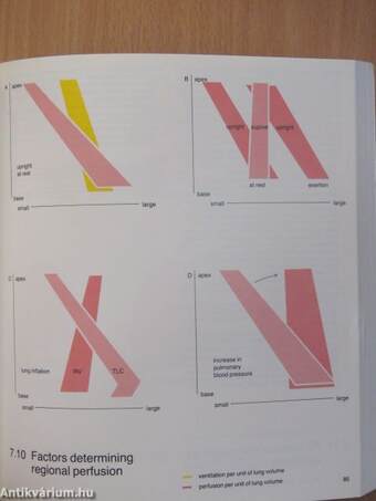 Contours of breathing 2.