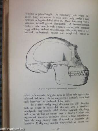 Mi a szociológia?/Az ember származása/A magyar adórendszer igazságtalanságai/Népoktatásunk bűnei