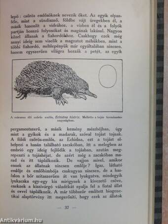 Mi a szociológia?/Az ember származása/A magyar adórendszer igazságtalanságai/Népoktatásunk bűnei