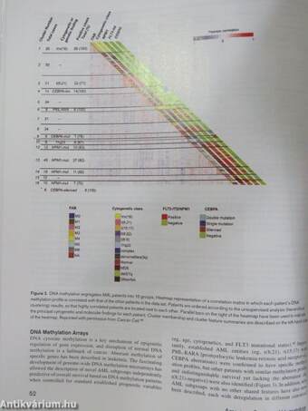 Hematology 2010