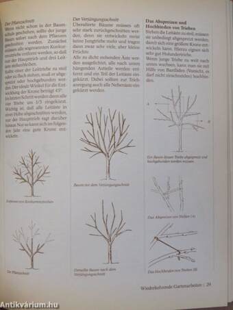 Reiche Ernte aus dem eigenen Garten