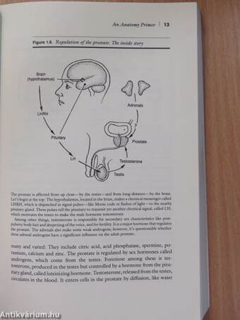 The Prostate (dedikált példány)