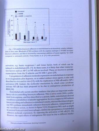 Microcirculation in Chronic Venous Insufficiency