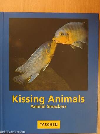 Kissing Animals