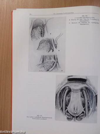 Gynäkologisch-operative Anatomie