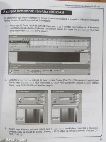 Macromedia Flash MX