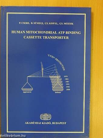 Human Mitochondrial ATP Binding Cassette Transporter