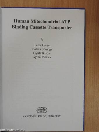 Human Mitochondrial ATP Binding Cassette Transporter