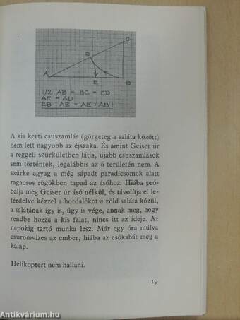 Az ember a holocénban jelenik meg 