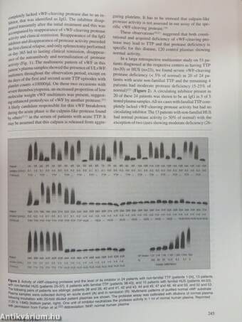 Hematology 1999