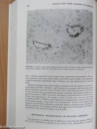 Plasminogen Activation in Fibrinolysis, in Tissue Remodeling, and in Development