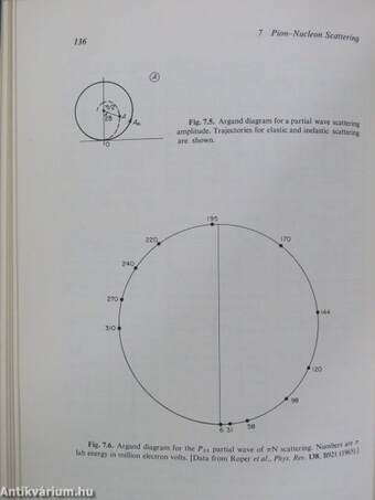 Particle Physics: An Introduction