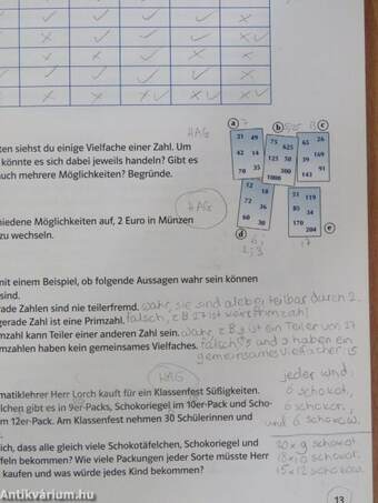 Komplett Trainer Mathematik 5