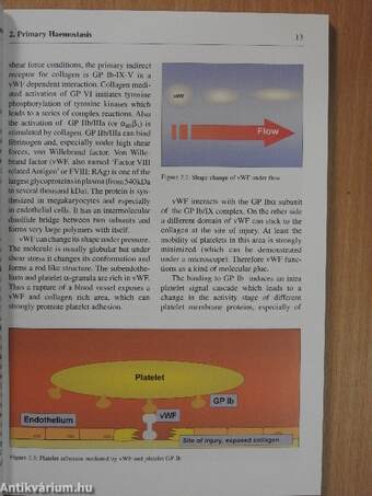 Haemostasis