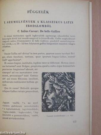 Latin nyelvkönyv I.