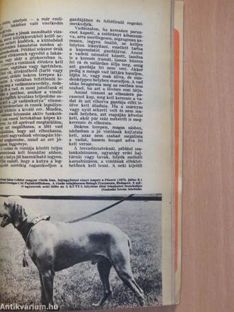 A kutya évkönyve 1974