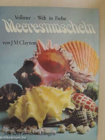 Meeresmuscheln