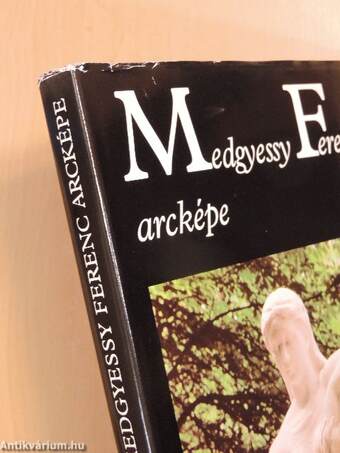 Medgyessy Ferenc arcképe