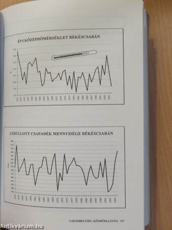 Békés megye statisztikai évkönyve 1996