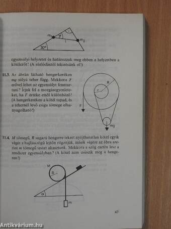 Elméleti fizikai példatár 1.