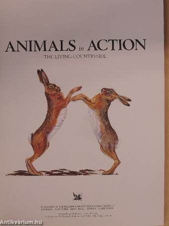 Animals in Action