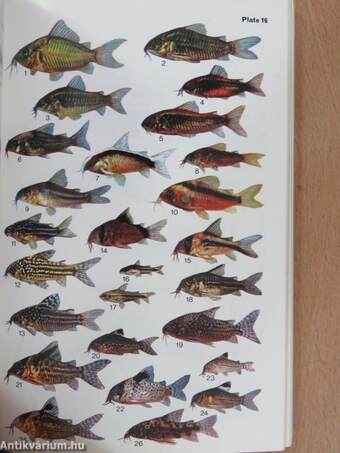 The Country Life Guide to Aquarium Fishes