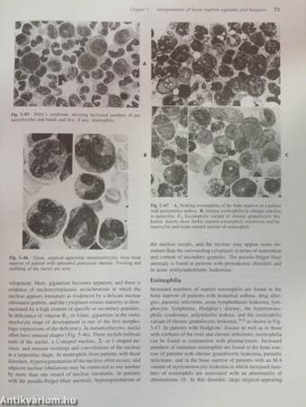 Hematology I-II.