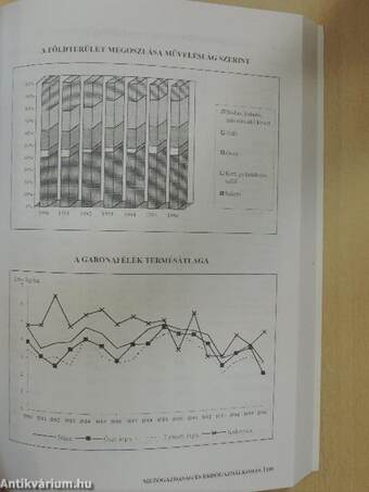 Veszprém megye statisztikai évkönyve 1996