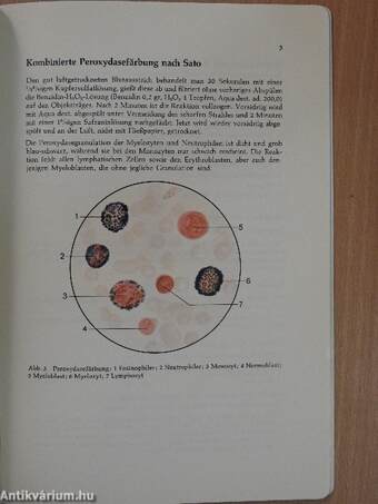 Blut- und Knochenmarksmorphologie