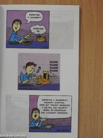 Garfield, a gazdiszomorító