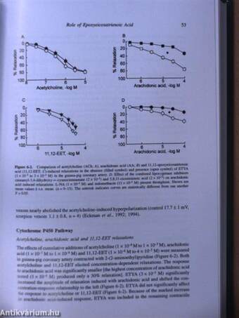 Endothelium-Dependent Hyperpolarizations