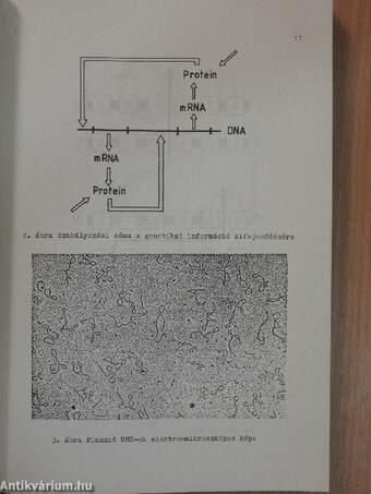 Biotechnológiai szimpozium