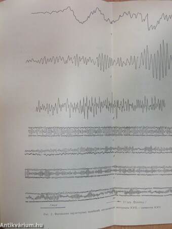 Short-Period Pulsations of the Earth's Electromagnetic Field - Articles (orosz nyelvű)