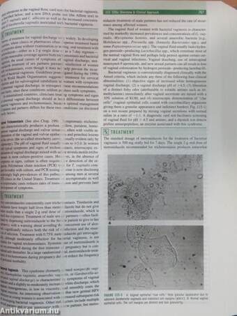 Harrison's Principles of Internal Medicine I-II.